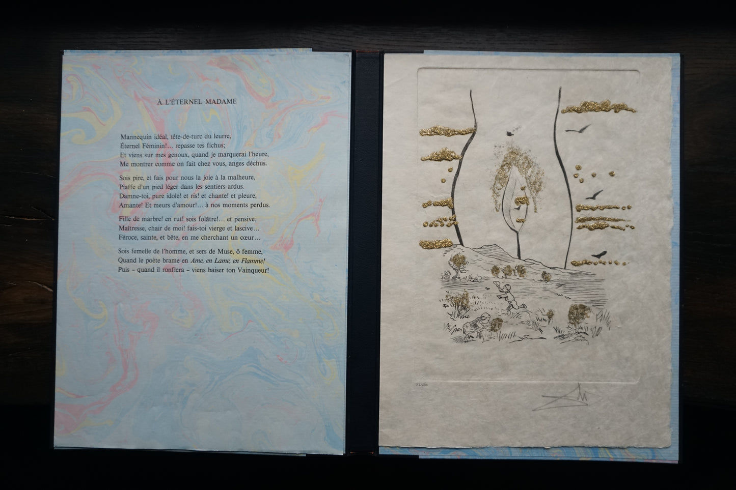 Salvador Dali - Les Amours Jaunes (Luxury portfolio of 10 erotic etchings)