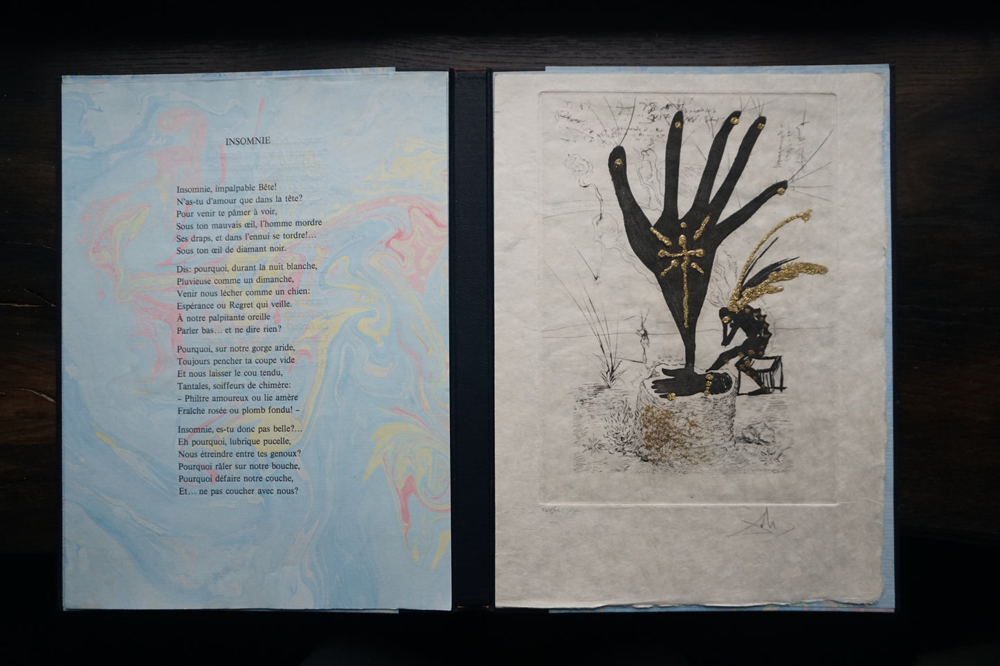 Salvador Dali - Les Amours Jaunes (Luxury portfolio of 10 erotic etchings)