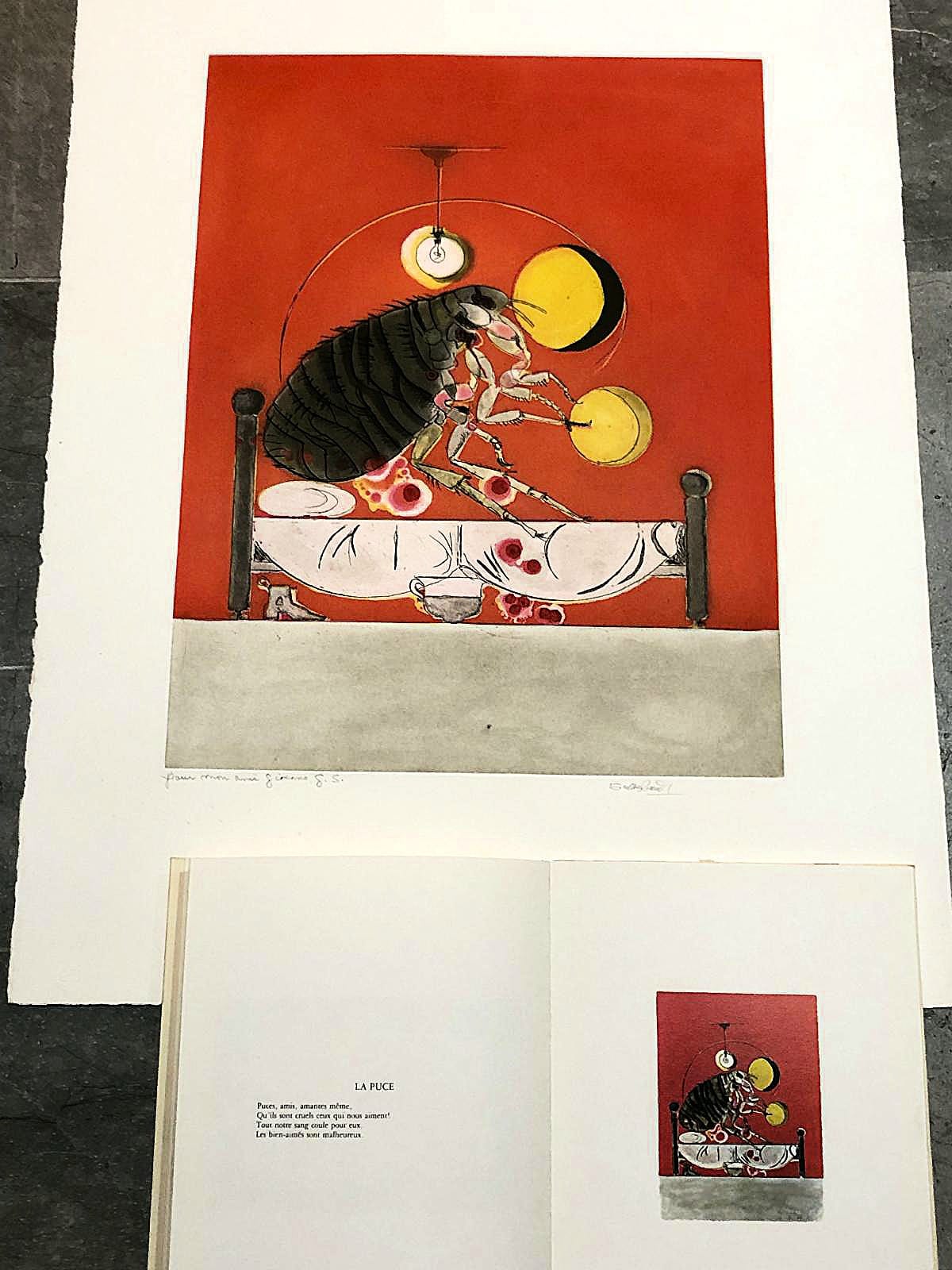 Graham Vivian Sutherland - La Puce