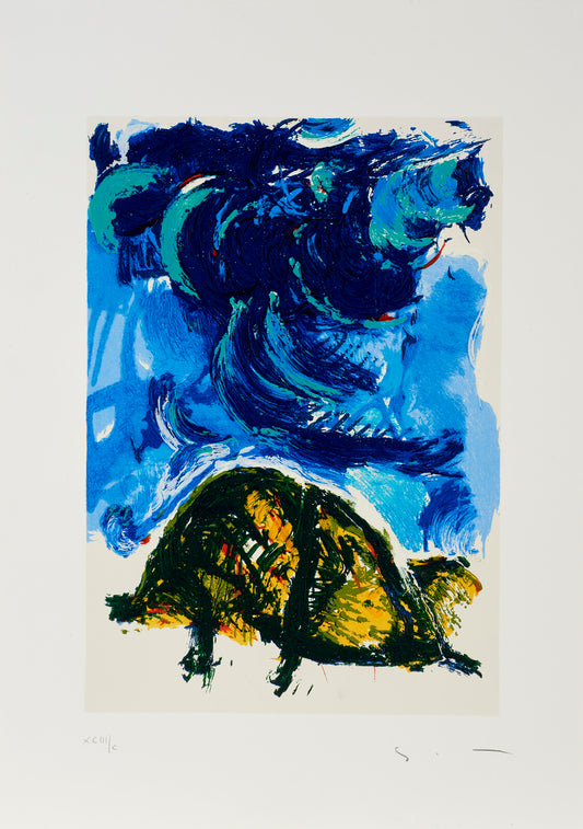 Mario Schifano - The Turtle