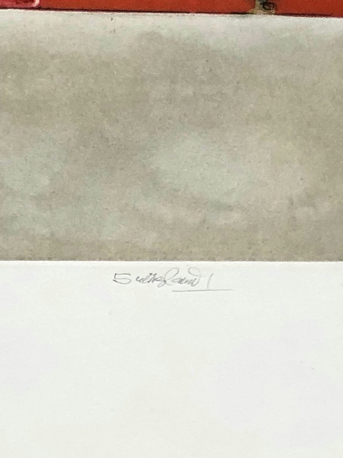 Graham Vivian Sutherland - La Puce